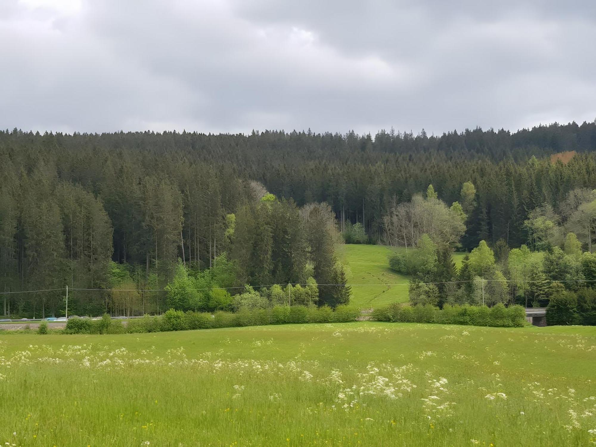 Apartamento Haus Schwedes Titisee-Neustadt Exterior foto